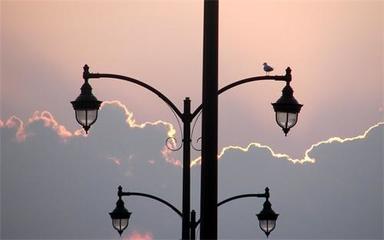 房地產雜志概覽與圖書刊物銷售指南